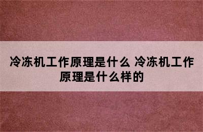 冷冻机工作原理是什么 冷冻机工作原理是什么样的